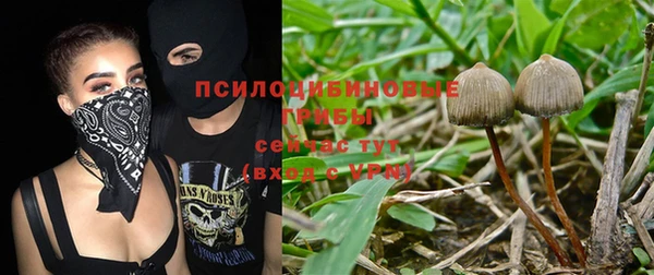 кокаин премиум Магас