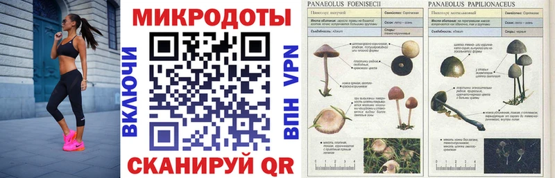 Купить закладки  Канск  Галлюциногенные грибы ЛСД 